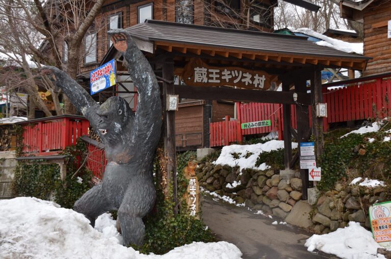 宮城蔵王キツネ村の写真